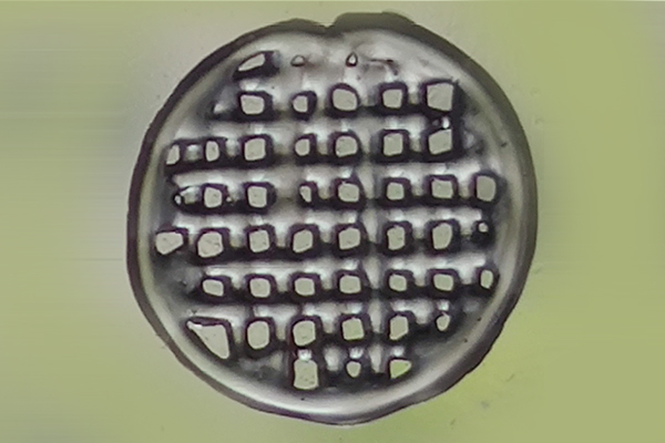 孔隙留存
